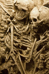 Photo of bones from a mass grave