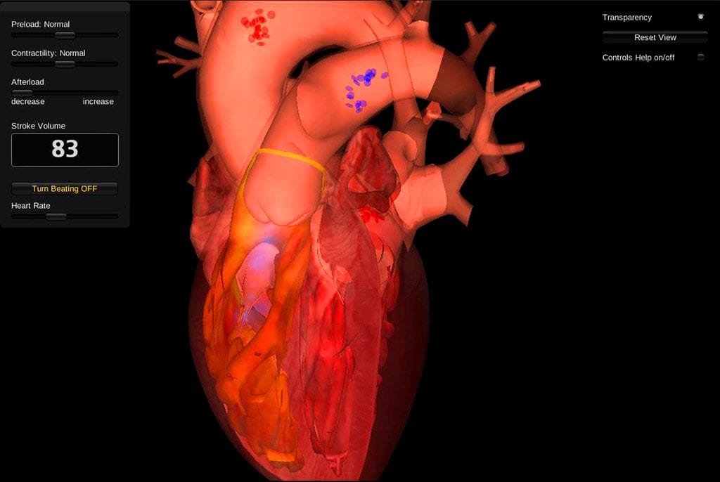 3d heart image.