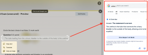 AI overview saying "this statement is correct"