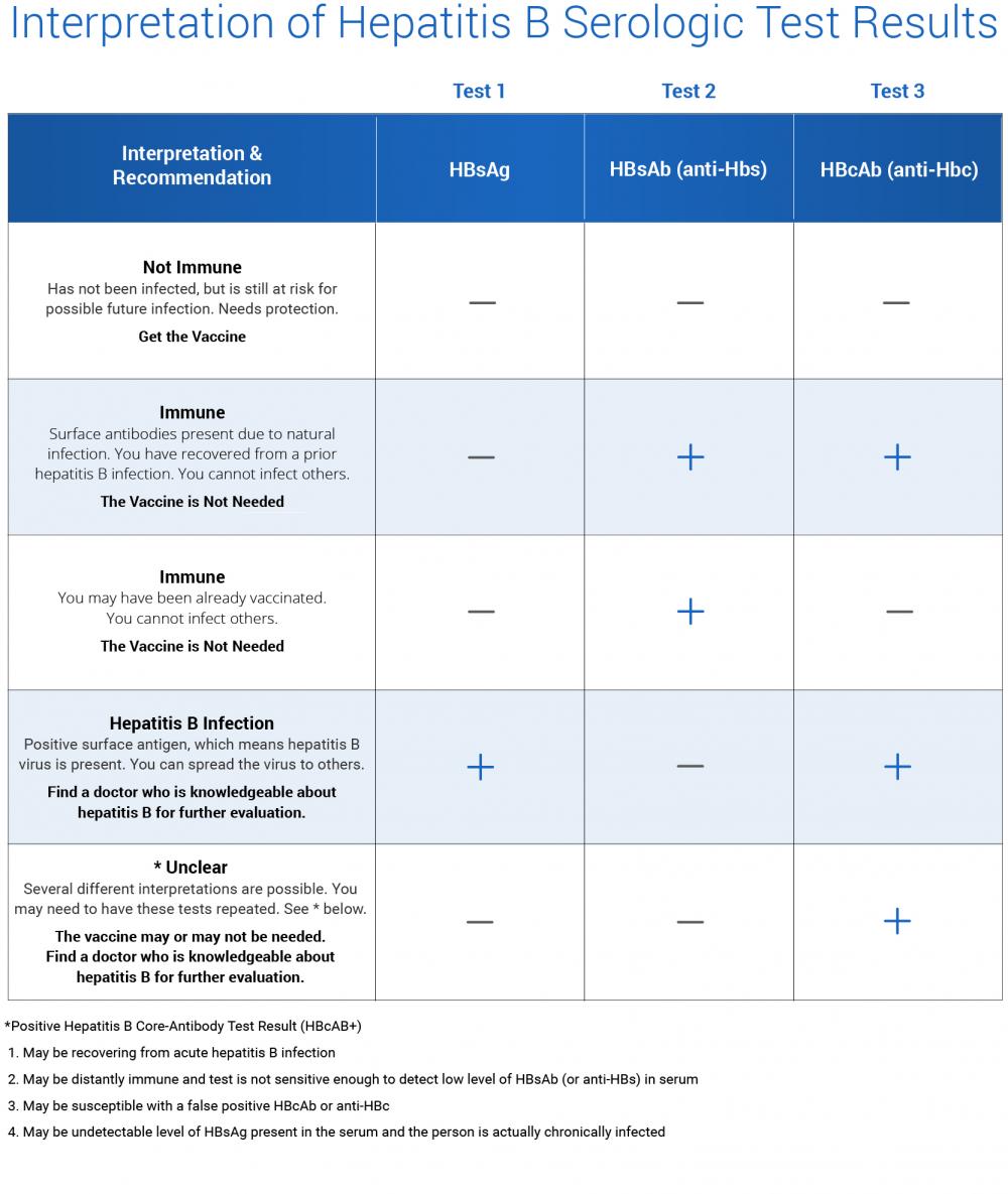 Hepatitis B Surface Antibody Positive Means