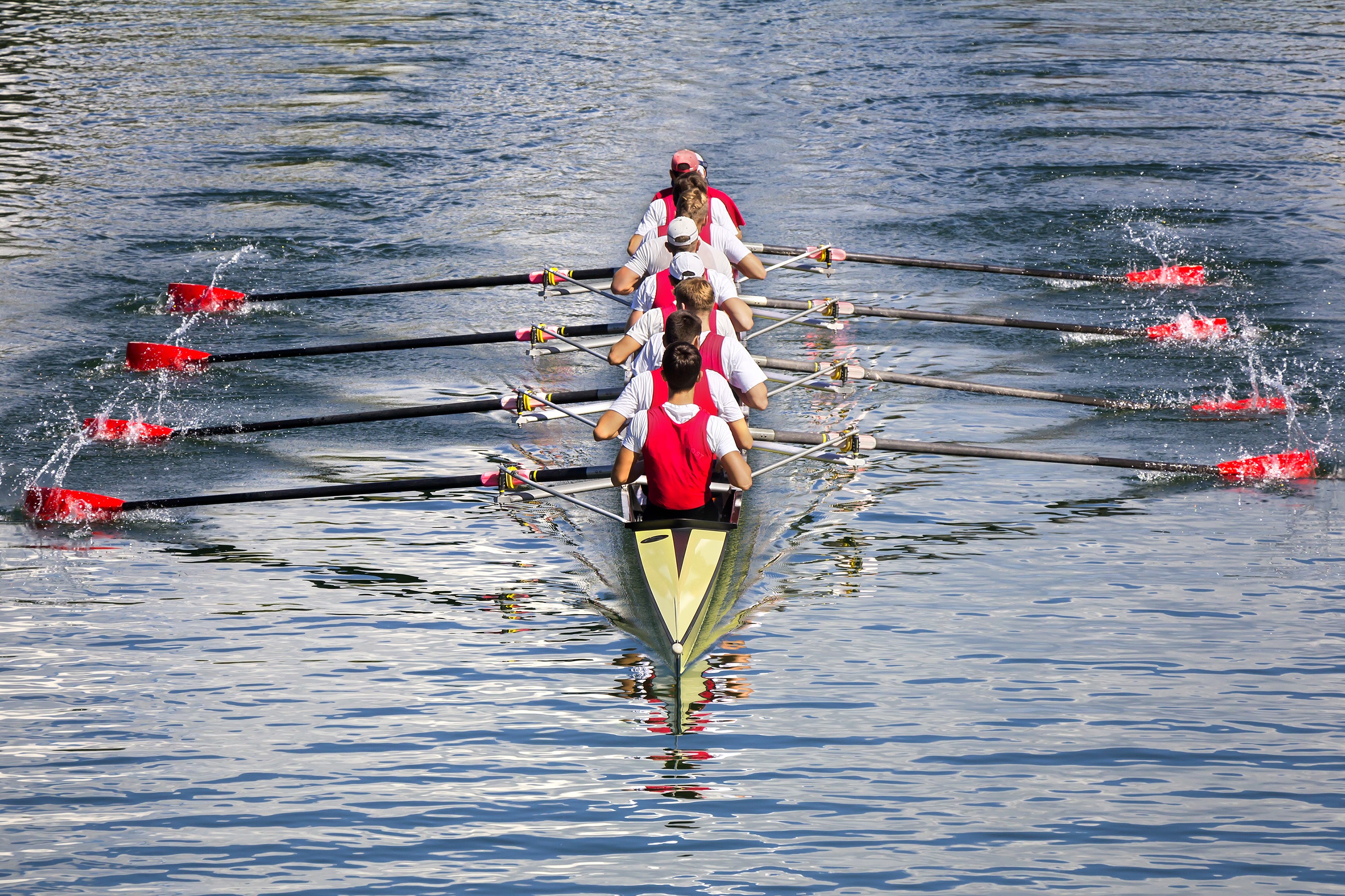 Teaming up with Burnaby Rowing Club at the starting line BCIT News