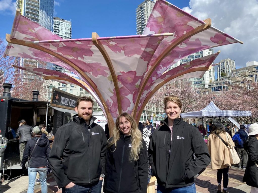 BCIT students designbuild a pavilion for the Vancouver Cherry Blossom