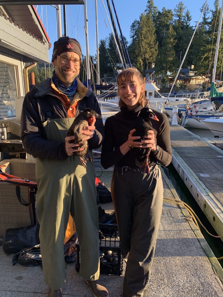 MSc students (Olivia Trudeau, MSc in Ecological Restoration in 2023) conducting field work on marine birds with Environment and Climate Change Canada.