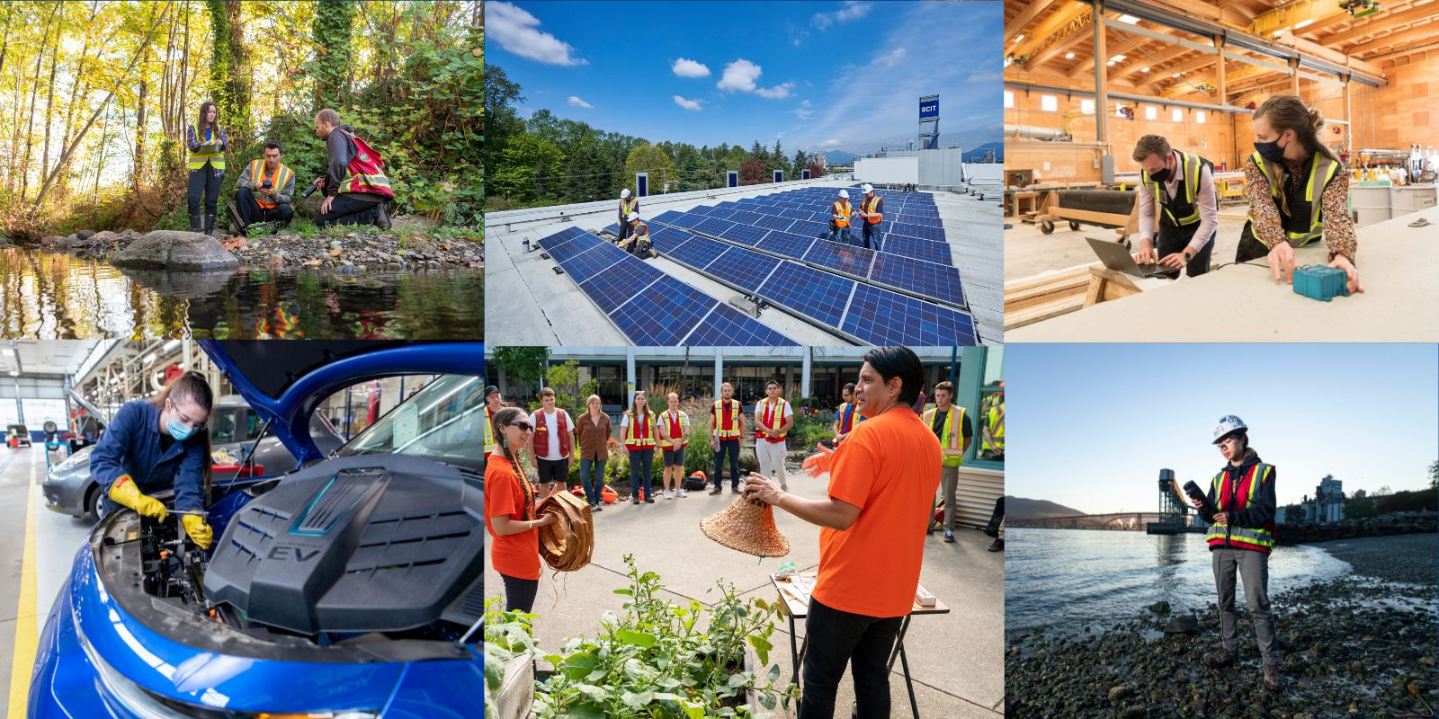 BCIT is Canada's Greenest Employers 2024